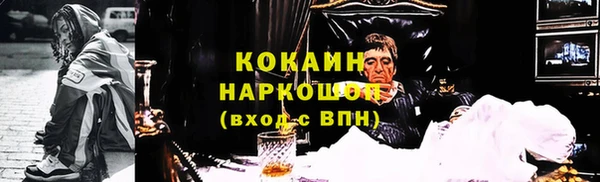 стаф Нея