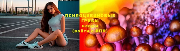 стаф Нея