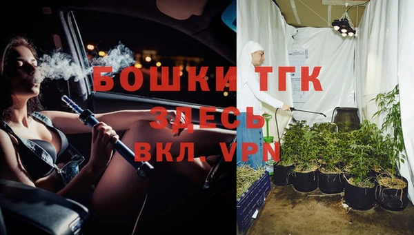 стаф Нея