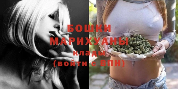 стаф Нея