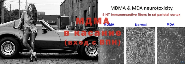 стаф Нея