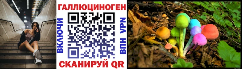 Псилоцибиновые грибы мицелий  купить наркотики цена  Нефтеюганск 